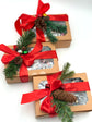 10 Christmas Brew Pops Gift Box with a Christmas Decoration on Top