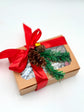 10 Christmas Brew Pops Gift Box with a Christmas Decoration on Top