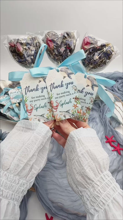 Brew Pops "Ocean Theme "(minimum order 10 pieces)